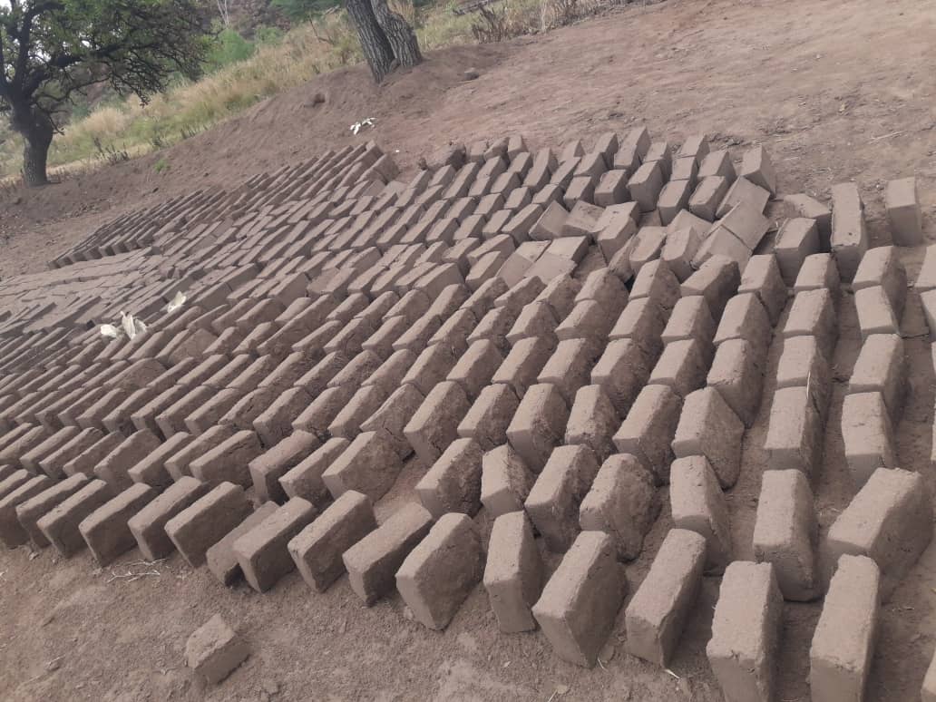 Bricks
